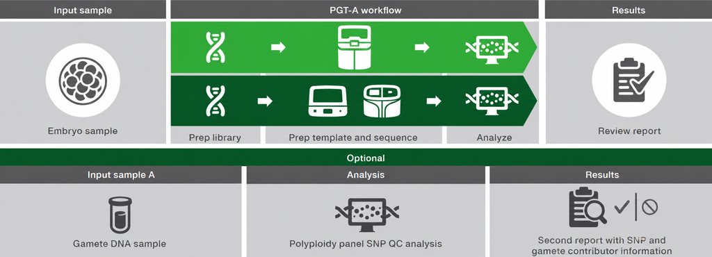 Ion ReproSeq PGT-A workflow showing whole-genome amplification, library preparation, Ion Chef template preparation, Ion GeneStudio S5 sequencing, and genomic data analysis.